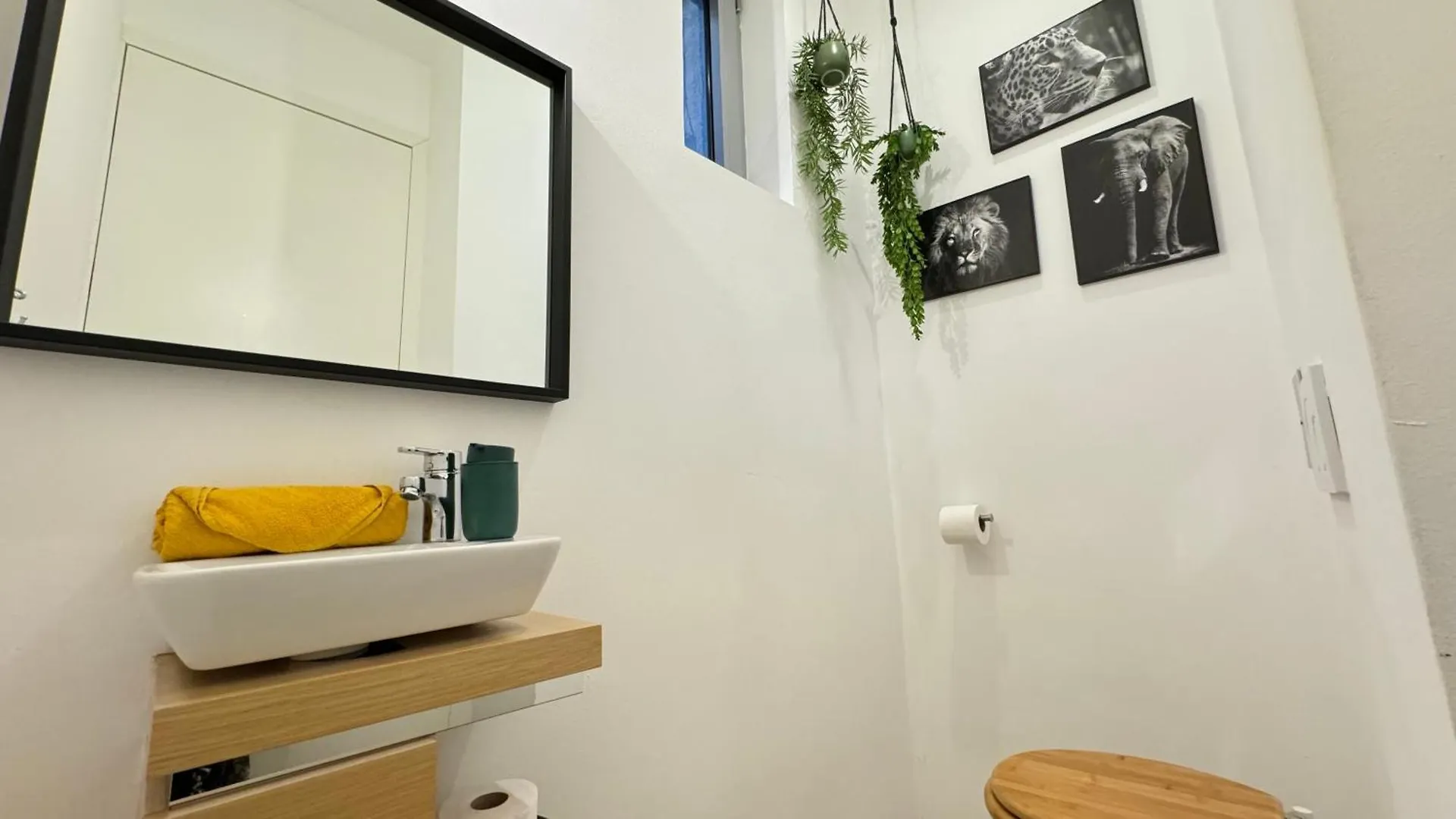 Apartment African Paradise With Jacuzzi & Sauna Vienna